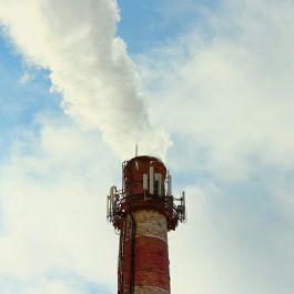 کربن اکتیو جاکوبی - اکوزورب