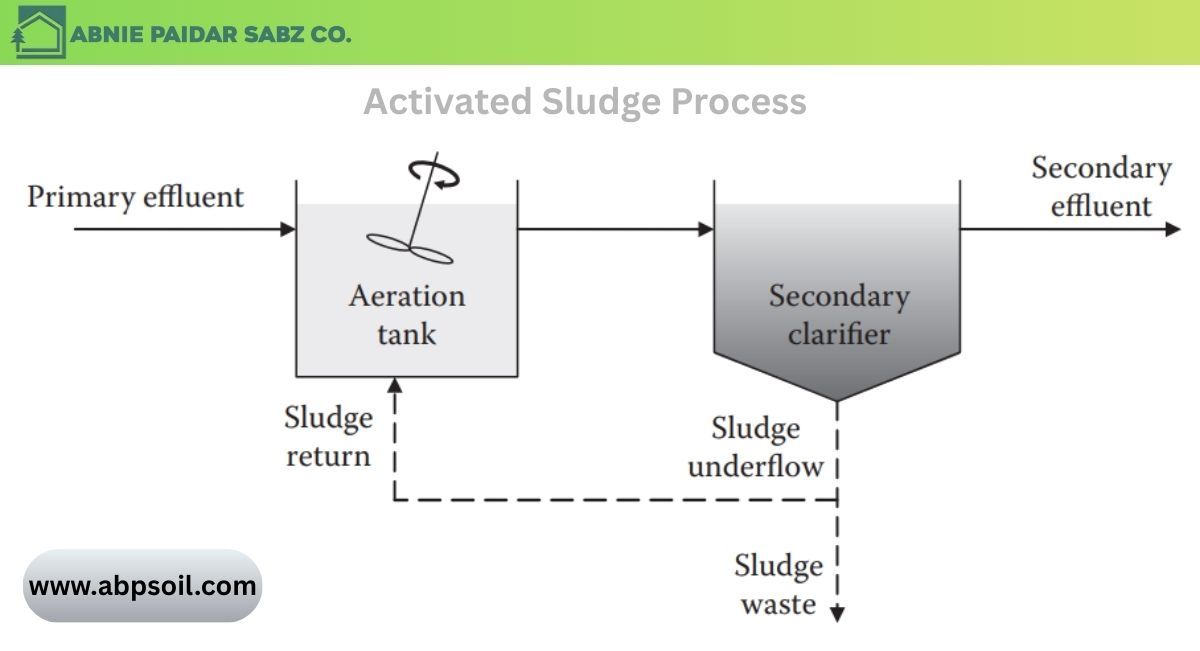 فرآیند لجن فعال (Activated Sludge Process)