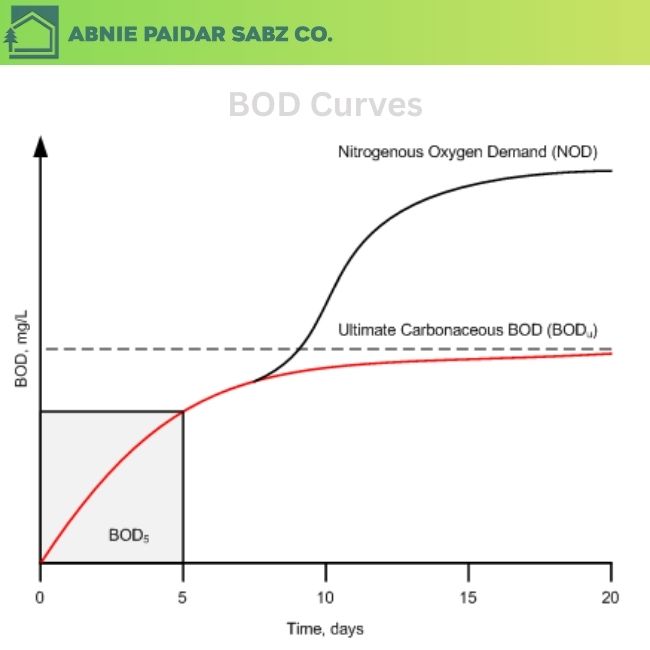 منحنی BOD