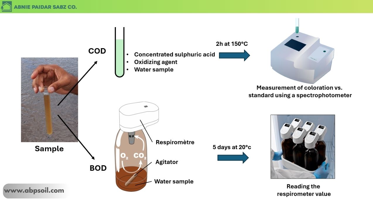 تفاوت BOD با COD