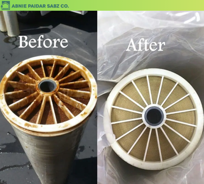 CIP (clean in place)