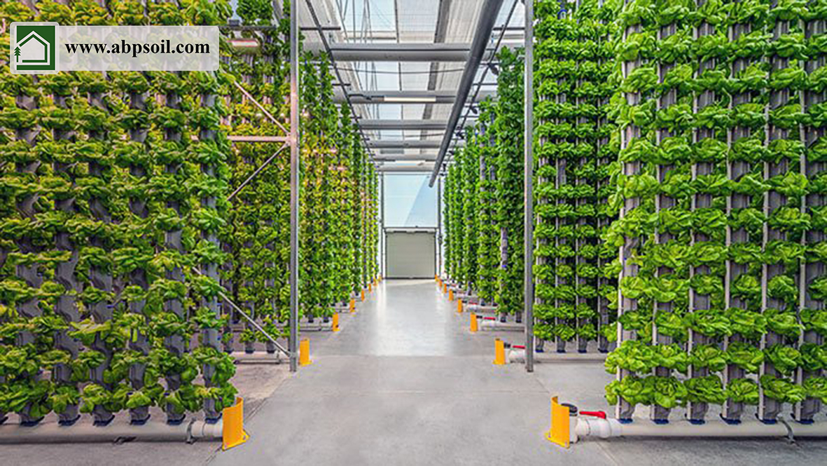 hydroponic greenhouse