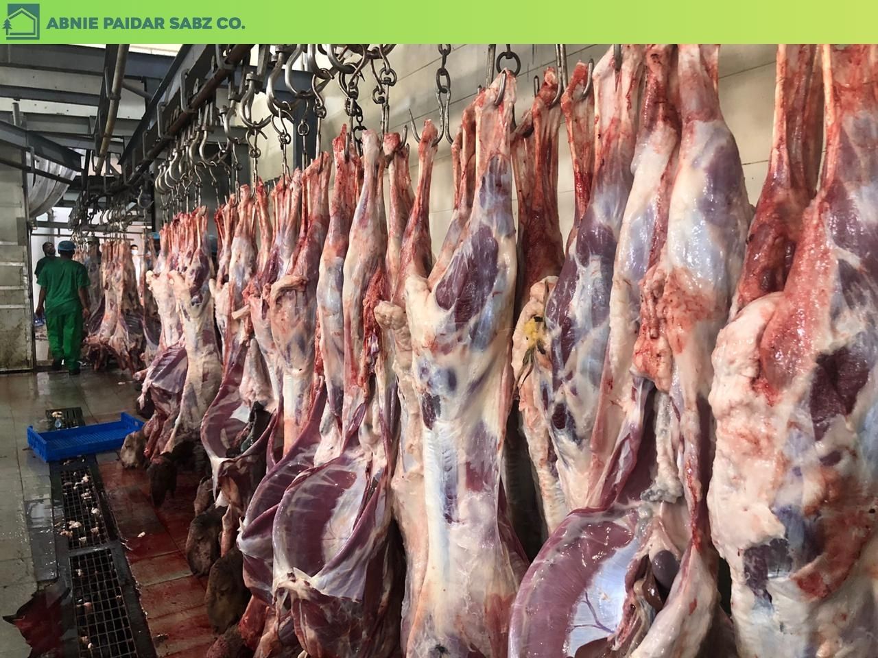 تصویر کلی تصفیه فاضلاب کشتارگاه