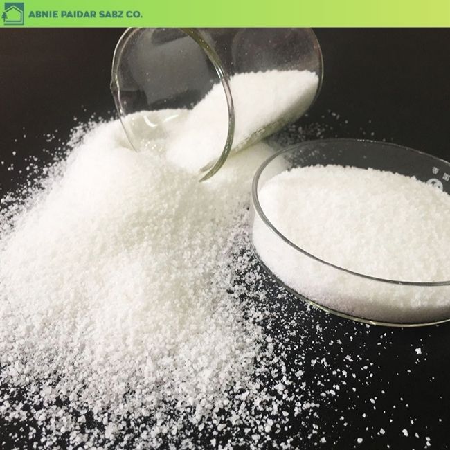 پلی الکترولیت (polyelectrolyte)