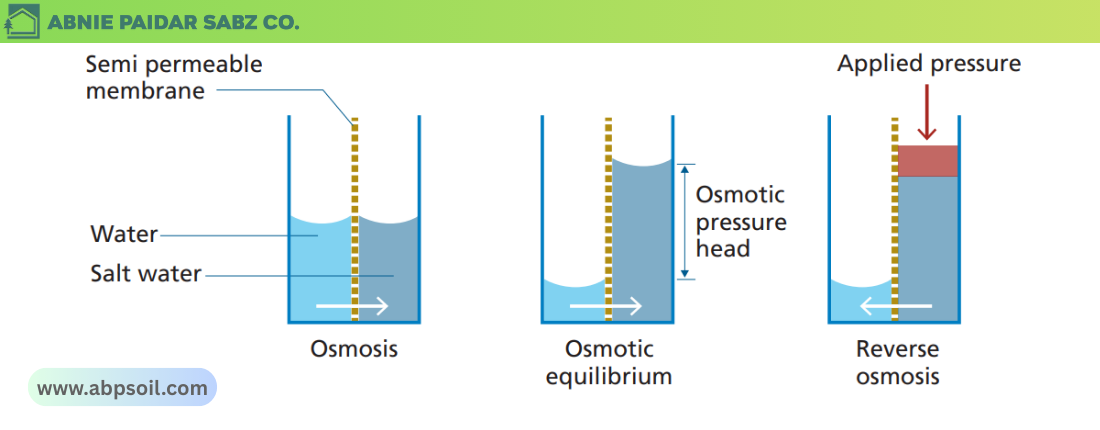 تئوری اسمز معکوس
