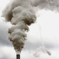 کربن اکتیو جاکوبی - اکوزورب